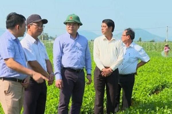 Phó Chủ tịch UBND tỉnh Trần Phước Hiền kiểm tra tình hình sản xuất vụ Đông Xuân trên địa bàn huyện Mộ Đức